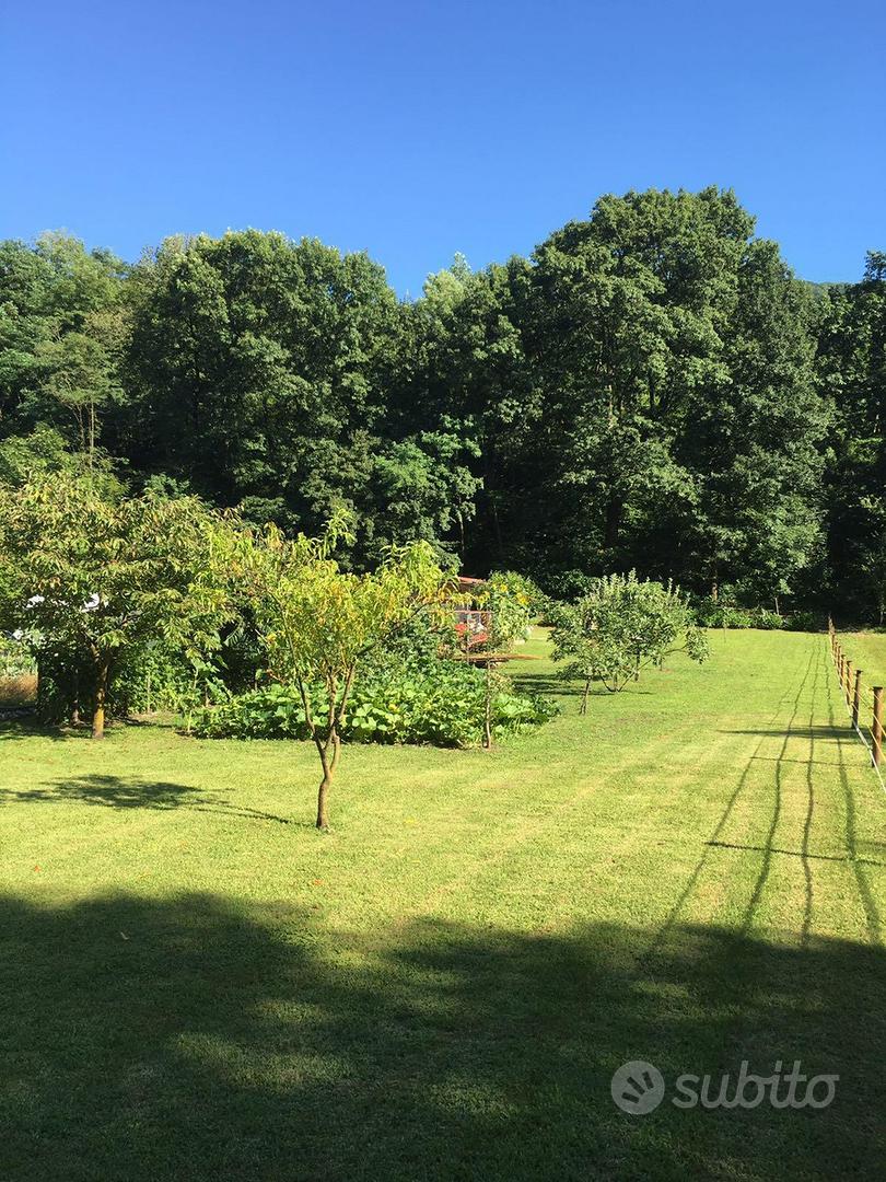 Terreno agricolo con casetta accatastata - Altro