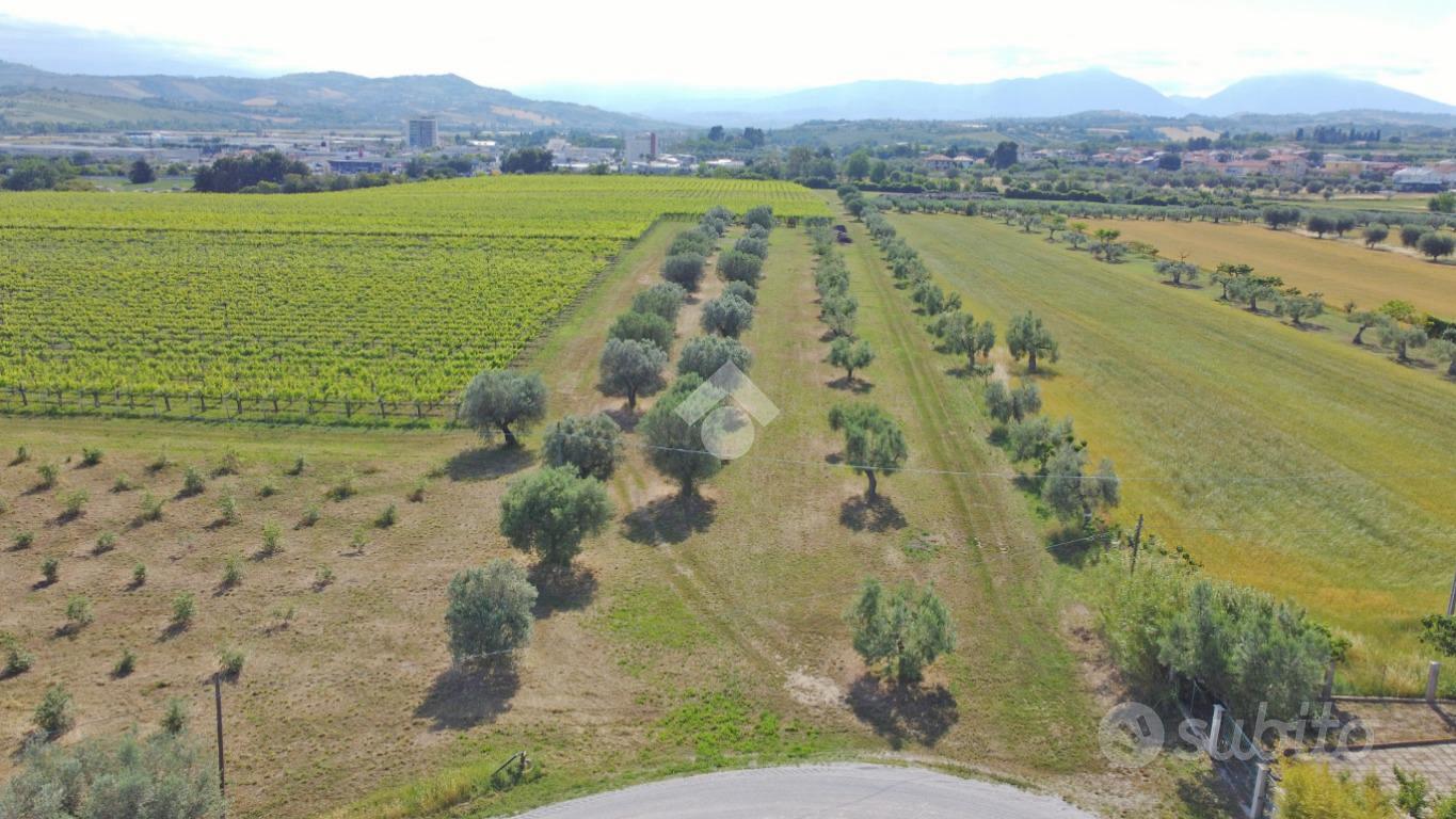 TERRENO A MOSCIANO SANT'ANGELO - Vista 2