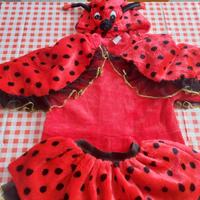 Costume Carnevale da Coccinella bimba anni 3/4