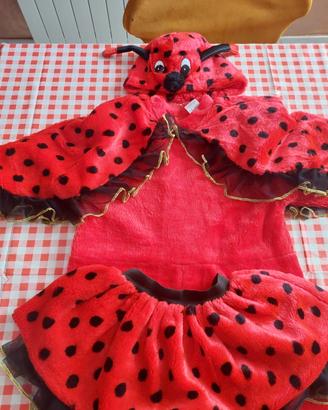 Costume Carnevale da Coccinella bimba anni 3/4