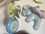 Immagine 5
