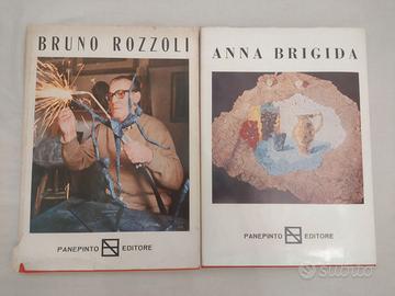 2 Libri d'Arte 1976 - Bruno Rozzoli e Anna Brigida