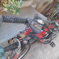 bicicletta