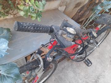 bicicletta
