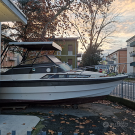 Barca Ferretti