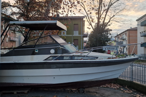 Barca Ferretti