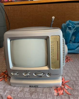 Tv portatile