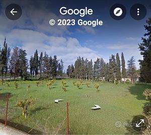 terreno recintato di un ettaro 