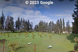 terreno recintato di un ettaro 