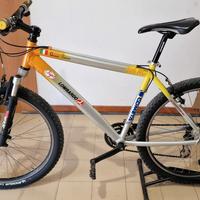 Mountain bike Lombardo