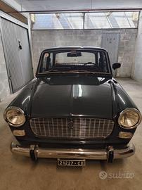 Fiat 1100 d  Berlina 1964 Asi