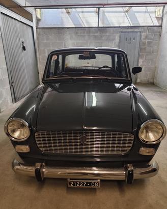 Fiat 1100 d  Berlina 1964 Asi