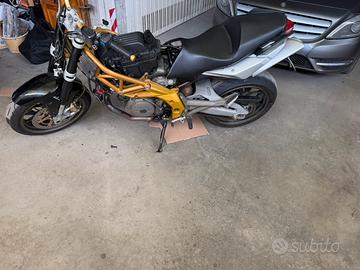 Aprilia shiver