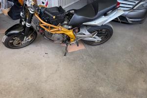 Aprilia shiver
