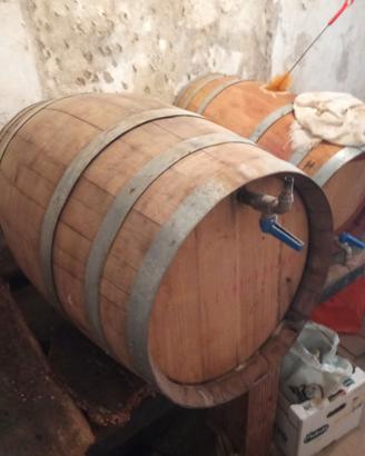Due botti da 120 litri e due contenitori in vetror
