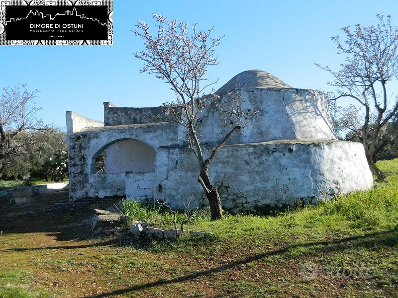 CASOLARE con GRUPPO di LAMIE - OSTUNI - Vista 4