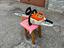 Immagine 3