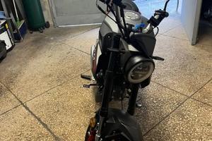 Lem brutus 2025