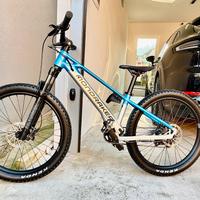 Mondraker f-play 24