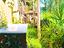 Immagine 22