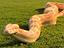 Immagine 2