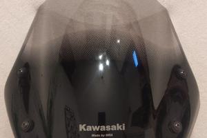 Cupolino originale Kawasaki ER6N