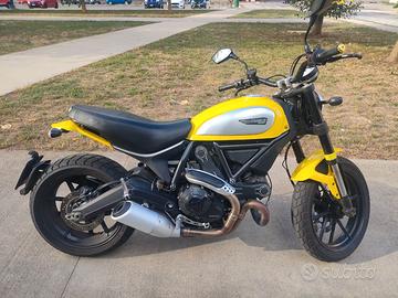DUCATI Scrambler 800 Icon (Gialla)