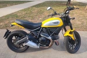 DUCATI Scrambler 800 Icon (Gialla)