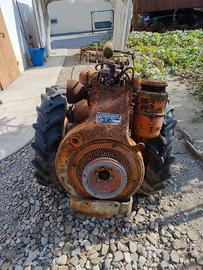 motocoltivatore  Pasquali 
