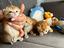 Immagine 1