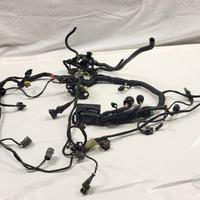 CABLAGGIO ELETTRONICO PRINCIPALE DUCATI MULTISTRAD