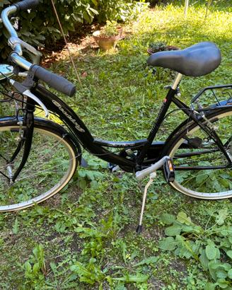 Bicicletta Carraro