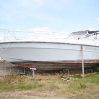 Barca MOTOVEDETTA FINANZA