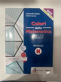 Colori della matematica blu modulo H