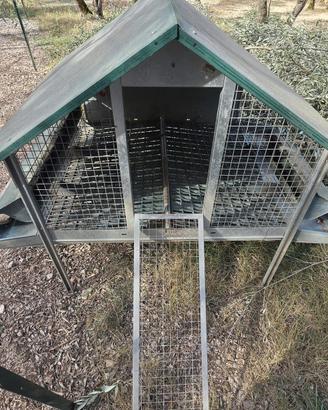 Pollaio per 6 galline