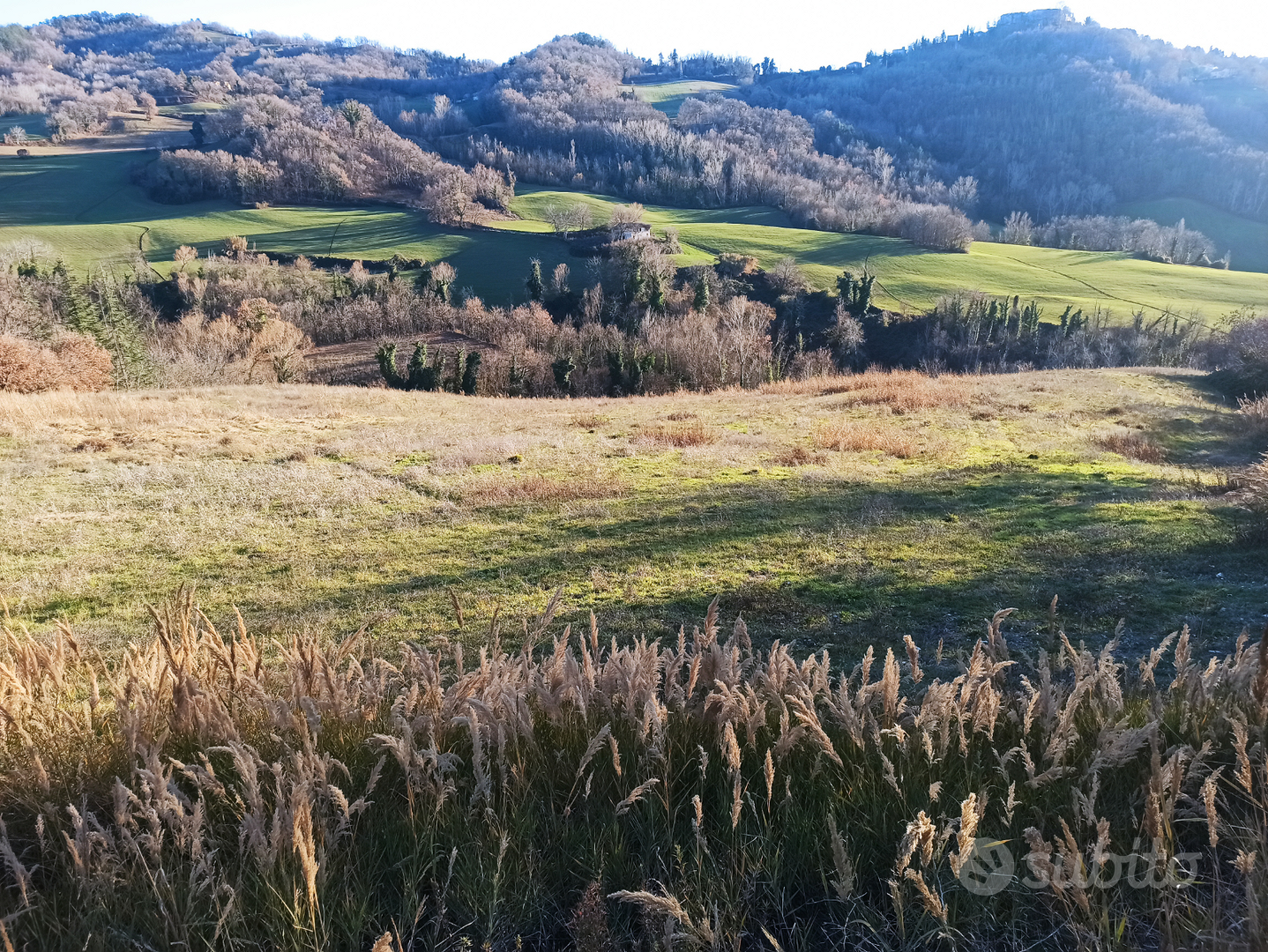 Azienda agricola - Altro