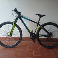 TORPADO MERCURY 29