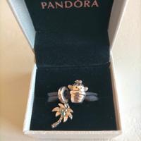 Charms Pandora 