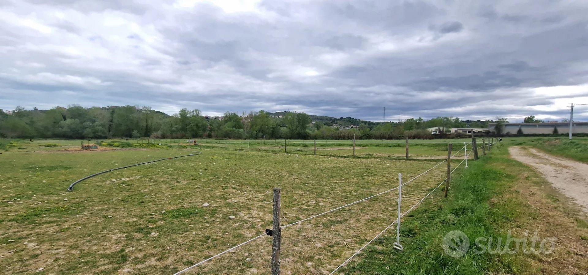 TERRENO AGRICOLO CONGIUNTI - Vista 5