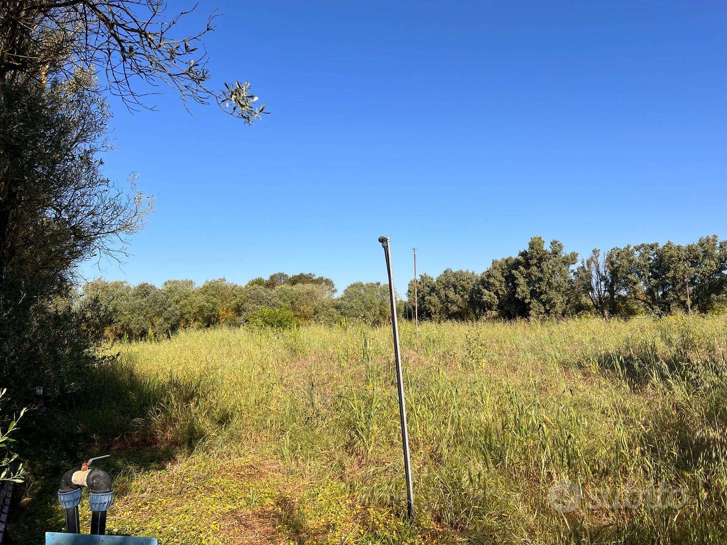 Terreno agricolo - Vista 5