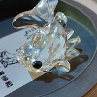 Swarovski carpa 