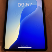 iPad  Pro cellular 2018