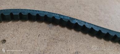 cinghia ciao variatore 