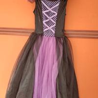 Vestito carnevale bimba