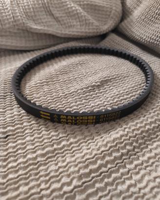 Malossi X K Belt per Overrange/Furia Rossa