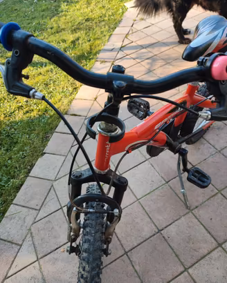 Bicicletta bambino 14 pollici