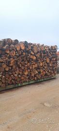 Legna da ardere  di castagno secca da ardere