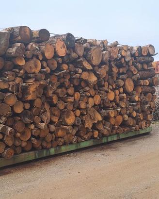 Legna da ardere  di castagno secca da ardere