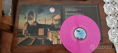 disco Animals Pink floyd disco rosa