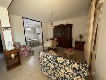 Casa singola zona taglio di Po